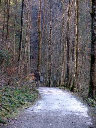 2009-01-31 21:30:34