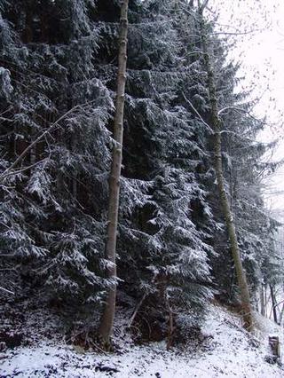 2008-12-31 13:27:42