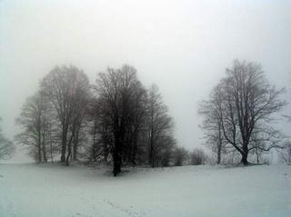 2008-12-31 13:31:09