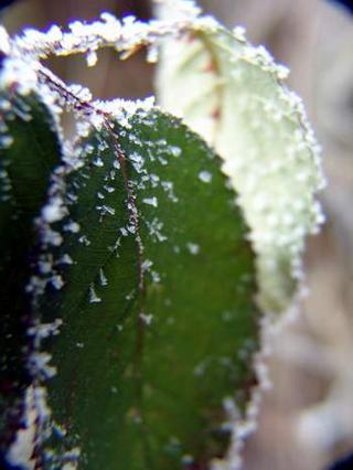 2008-12-31 13:38:13