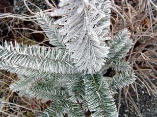 2008-12-31 13:40:11