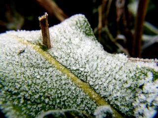2008-12-31 13:44:31