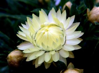 2009-05-05 15:23:56