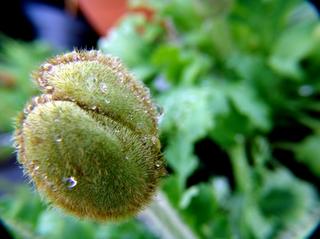 2009-05-05 15:26:58