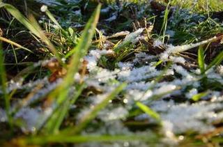 2009-03-01 13:37:54