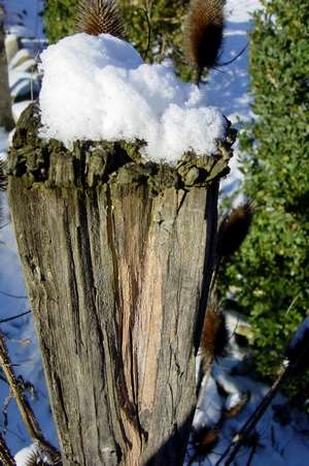 2009-03-01 13:39:24