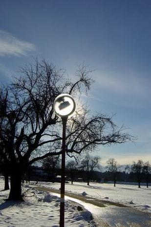 2009-03-01 13:43:31