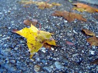 2009-10-31 17:58:00