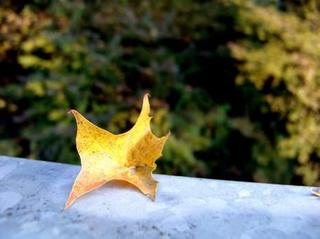 2009-10-31 17:58:31