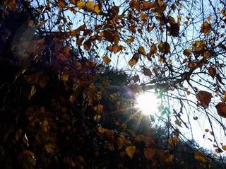 2009-10-31 18:09:05