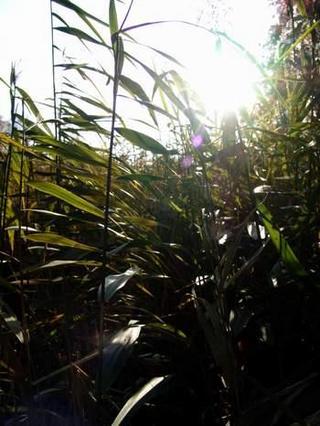 2009-10-31 18:13:48