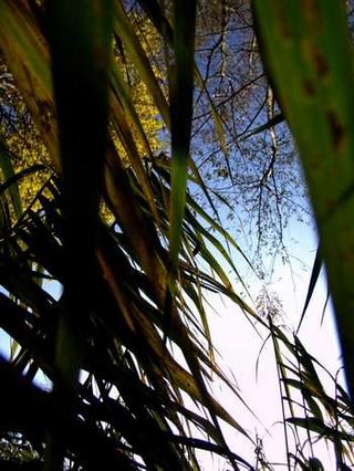 2009-10-31 18:14:10