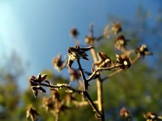 2009-10-31 18:28:17