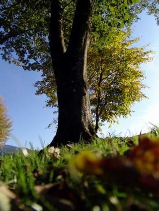 2009-10-31 18:28:31