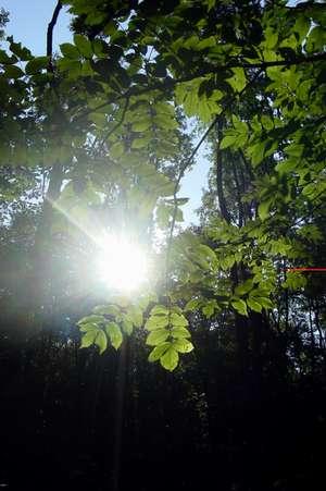 2003-10-31 17:03:54
