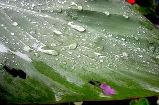 2003-10-31 17:03:54