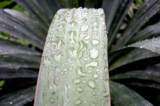 2003-10-31 17:06:38