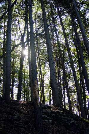2003-10-31 17:15:24