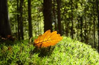 2003-10-31 17:15:24