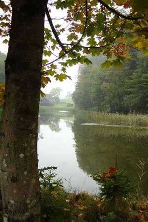 2003-10-31 17:15:24