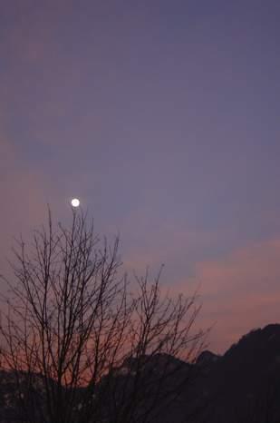 2010-03-31 23:39:15