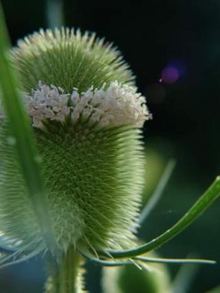 2010-07-30 18:08:53