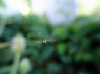 2010-07-30 18:12:18
