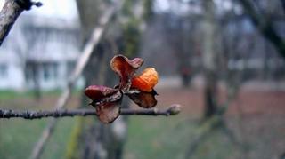 2010-11-30 22:48:42