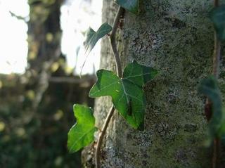 2010-01-05 13:00:17