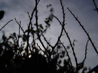 2010-01-05 12:58:11