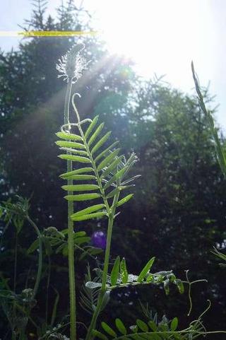 2003-08-31 10:23:32