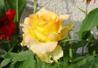 2003-08-09 22:13:04
