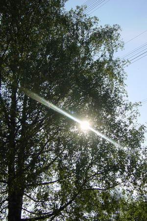 2004-05-29 18:36:36