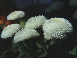 2009-09-30 00:11:58