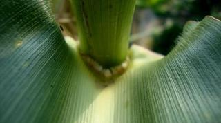 2010-10-31 09:06:07