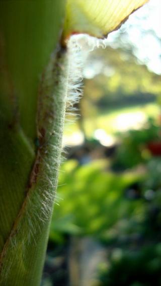 2010-10-31 09:06:40