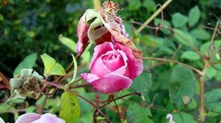 2010-10-31 09:07:06