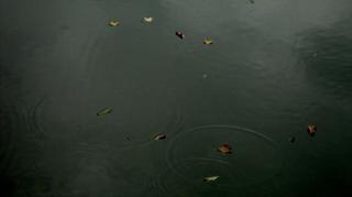 2010-10-31 09:30:28