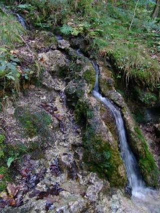 2010-10-31 09:20:44