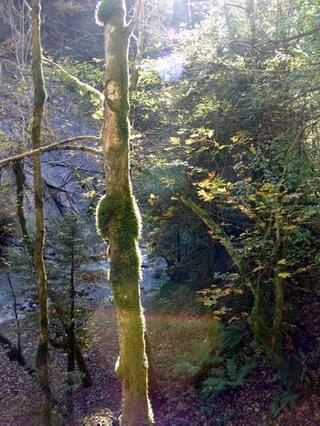 2010-10-31 09:25:39