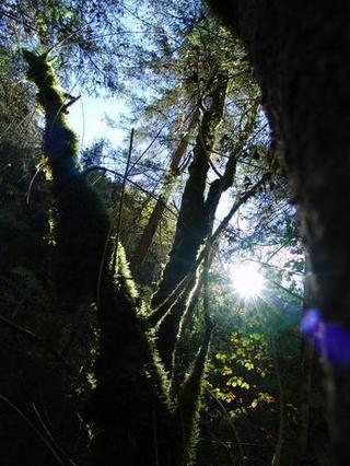 2010-10-31 09:25:56