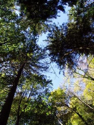 2010-10-31 09:26:33