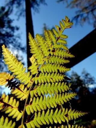 2010-10-31 09:26:57