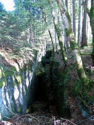 2010-10-31 09:27:15
