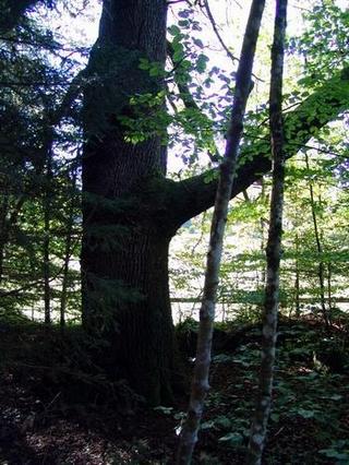 2010-10-31 09:27:53