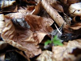 2011-03-30 20:47:48
