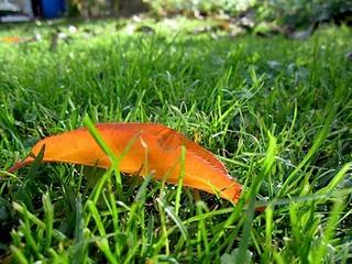 2011-11-27 23:58:43