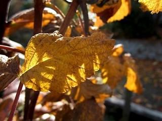 2011-11-27 23:59:06