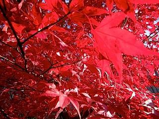 2011-11-28 00:01:10