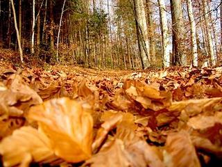 2011-11-28 17:26:01